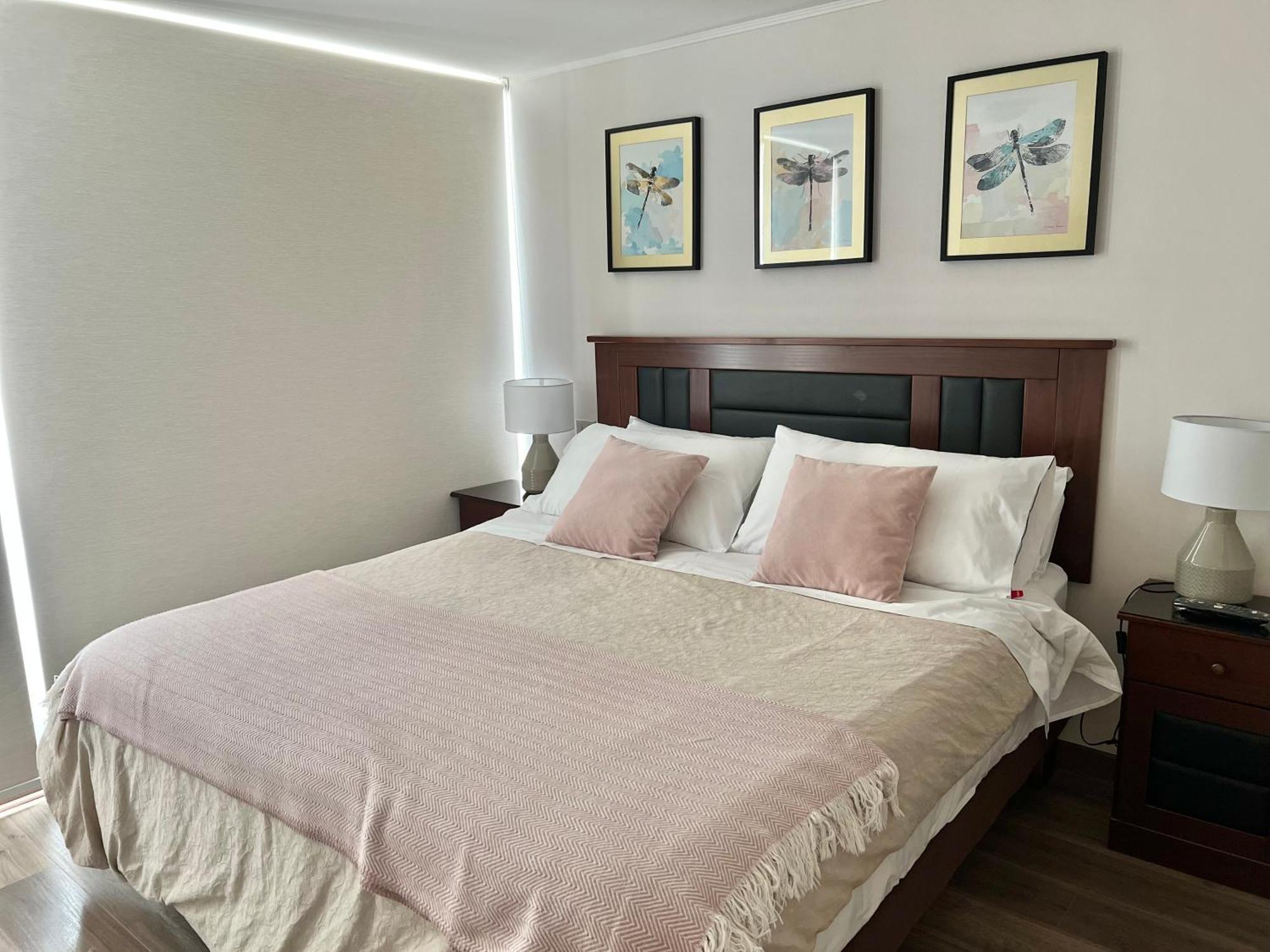 Apartamentos Concepcion Centro Ngoại thất bức ảnh